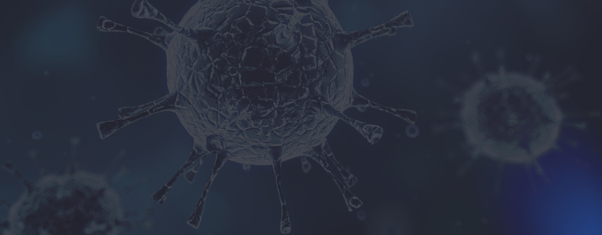 벤치탑 원심 분리기