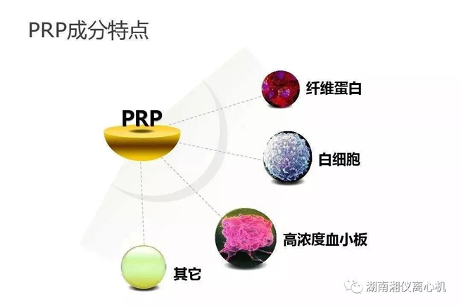 【과학 대중화】 PRP Autologous Serum Beauty
